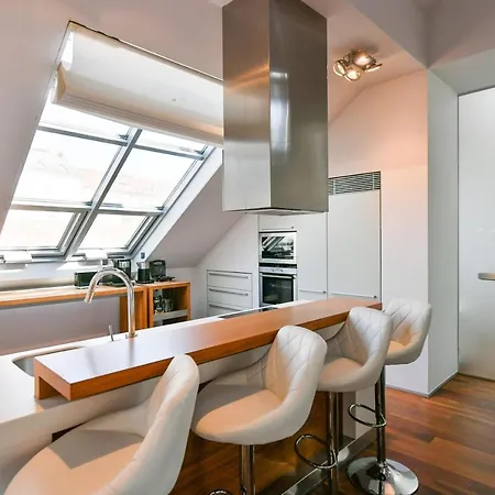 Luxury Penthouse With Sauna, Terrace, 250m2, 5bdrm, 3bthrm Apartman Prága