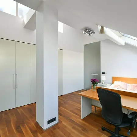 Luxury Penthouse With Sauna, Terrace, 250m2, 5bdrm, 3bthrm Prag